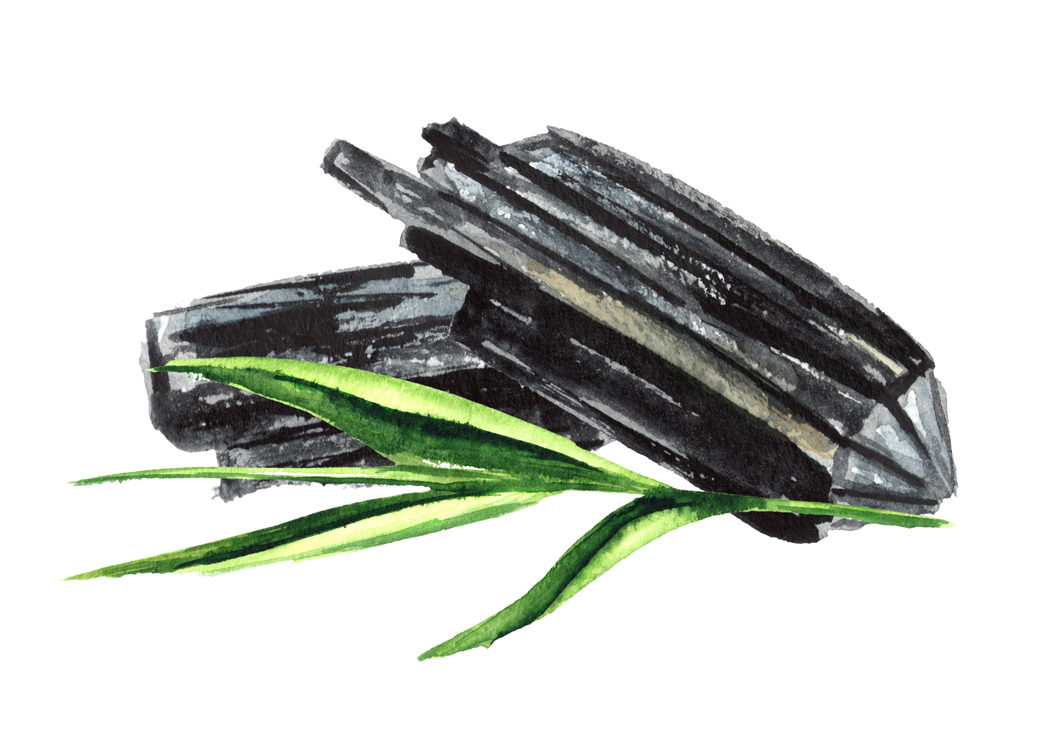 Conosciamo i nostri ingredienti: il carbone vegetale – Tukiki